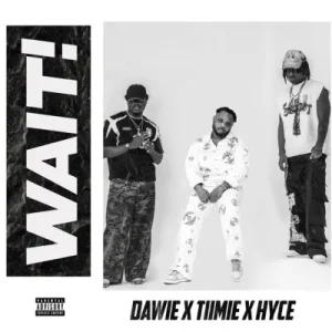 Dawie - Wait Ft Hyce & Tiimie Mp3 Download